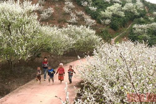 'Miền cổ tích trắng' giữa lòng TP Sơn La