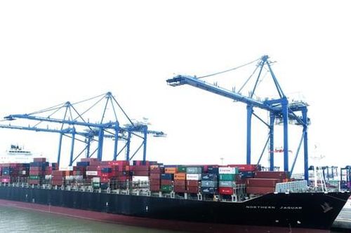 Kỳ vọng vận tải biển tiếp tục 'đại thắng'