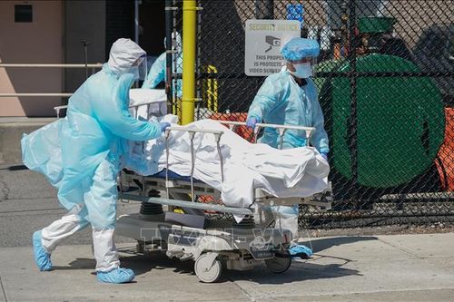 Thế giới đã ghi nhận trên 392,1 triệu ca nhiễm virus SARS-CoV-2
