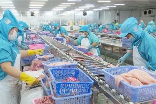 Sóc Trăng tuyển hàng ngàn lao động ngành Thủy sản