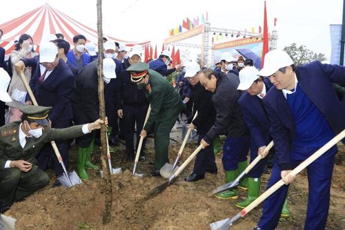 Lễ phát động Tết trồng cây 'Đời đời nhớ ơn Bác Hồ' Xuân Nhâm Dần