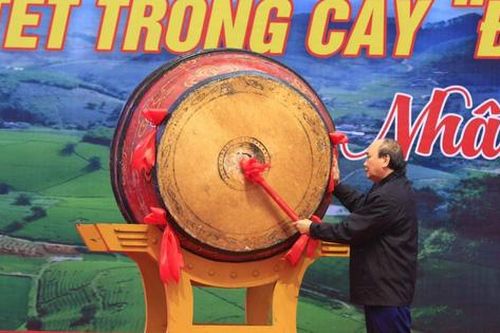 Chủ tịch nước phát động Tết trồng cây Xuân Nhâm Dần tại Phú Thọ