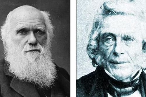 Xuất hiện bằng chứng mới cáo buộc nhà bác học Darwin đánh cắp Thuyết Tiến hóa