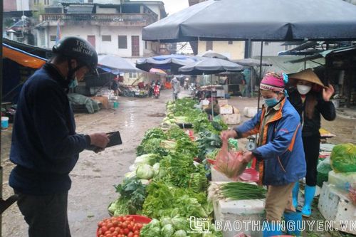 Giá thịt lợn, rau xanh ổn định