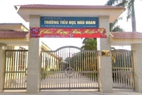 Vụ 3 học sinh bị đánh tím mông: Yêu cầu chấm dứt hợp đồng với cô giáo chủ nhiệm