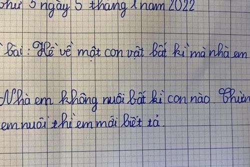 Giáo viên yêu cầu tả con vật đang nuôi trong nhà, cậu bé viết 2 dòng, đọc xong mà tức giùm cho cô