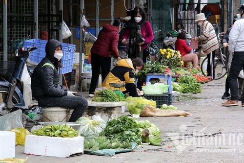 Lạnh tê tái, rau xanh hụt nguồn về chợ, giá tăng gấp đôi
