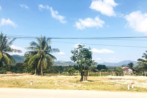 Việc mạo danh dự án để bán đất nền ở Cam Ranh: Sở Xây dựng đã đi kiểm tra, yêu cầu ngăn chặn