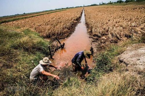 Xâm nhập mặn ở Đồng bằng sông Cửu Long sẽ tiếp tục gia tăng