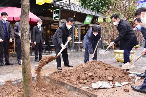 Hà Nội phấn đấu trồng 120 nghìn cây xanh dịp Xuân Nhâm Dần 2022