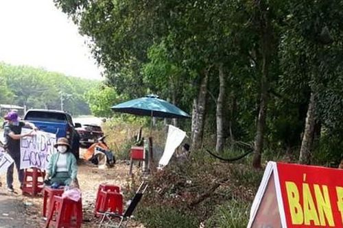 Chuyên gia cảnh báo ranh giới đầu tư - đầu cơ bất động sản