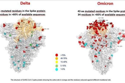 Omicron có thể tồn tại lâu hơn trên bề mặt nhựa và da người