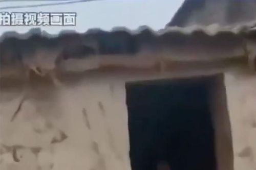 Trung Quốc: Video bà mẹ 8 con bị xích trong nhà kho gây phẫn nộ