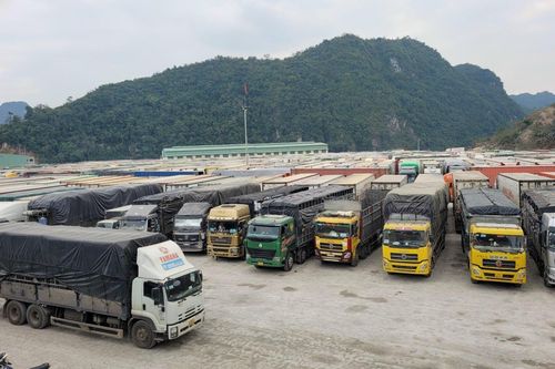 Xử lý nghiêm hành vi lợi dụng ùn tắc hàng hóa để phạm pháp