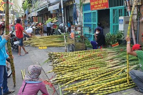 Người dân tấp nập đi mua mía vàng trước ngày cúng vía Trời Mùng 9 tháng Giêng