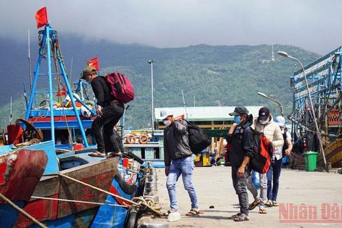 Ngư dân miền trung tất bật cho chuyến biển đầu năm