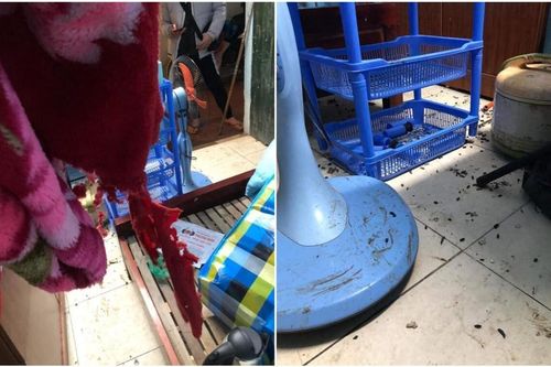 Trở lại thành phố sau thời gian dài tránh dịch, nam sinh 'khóc thét' khi thấy cảnh tượng trong phòng trọ