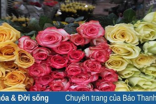 Hoa tươi tăng giá dịp đầu năm