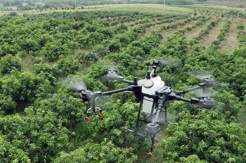 Amazon: Khu rừng bị đầu độc bằng thuốc trừ sâu