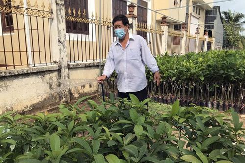 Từ ngày 11/2, Vĩnh Long giảm cấp độ dịch, trở về bình thường mới