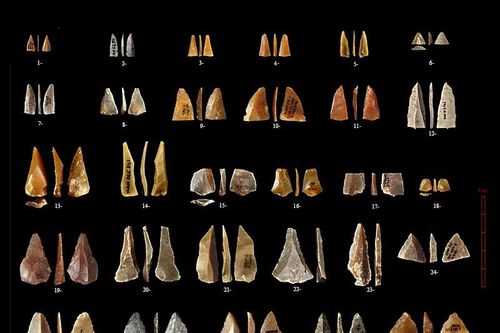 Người tinh khôn Homo sapiens xuất hiện ở châu Âu sớm hơn dự đoán