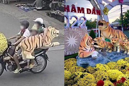 Cái kết trọn vẹn của gia đình linh vật hổ sau khi bị người dân lũ lượt 'bắt cóc' đem về nhà