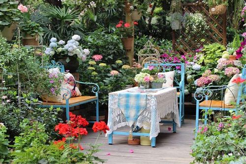 Mẹ đảm biến mảnh đất 40m² thành khu vườn 'độc nhất vô nhị'