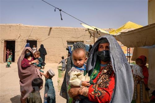 Taliban tìm cơ hội đàm phán quốc tế về hỗ trợ nhân đạo cho Afghanistan