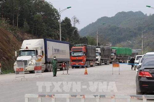 Trên 1.600 mã sản phẩm nông sản, thực phẩm được xuất khẩu sang Trung Quốc