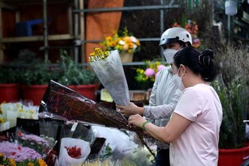 Giá hoa hồng Đà Lạt tăng kỷ lục trước ngày Valentine