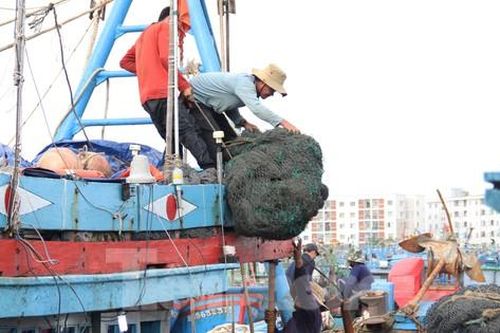 Sau tết, ngư dân miền Trung tất bật vươn khơi bám biển