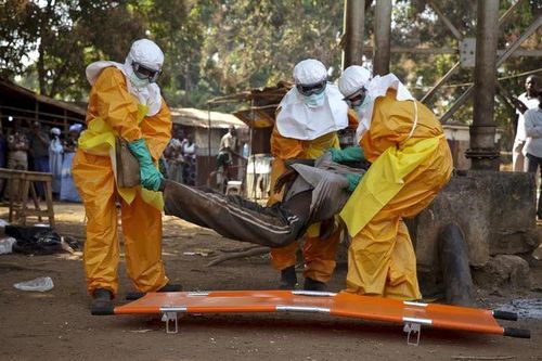 Virus Ebola vẫn tồn tại trong não người nhiều năm sau khi khỏi bệnh