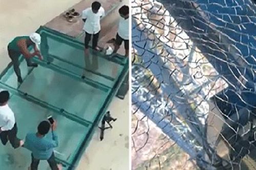 Giải thích về việc nứt vỡ cầu kính cao nhất Việt Nam: 'Công ty CỐ TÌNH làm vỡ để khách... trải nghiệm'!