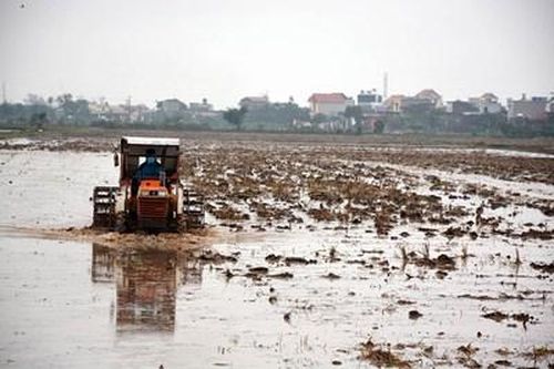 Bảo đảm nguồn nước phục vụ gieo cấy lúa vụ Đông Xuân