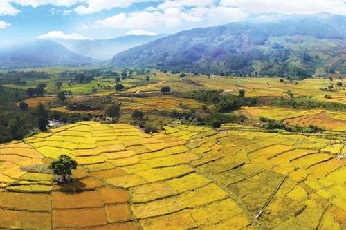 'Đánh thức' du lịch Đầm Ròn
