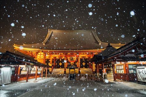 Cảnh báo tuyết rơi dày ở thủ đô Tokyo, Nhật Bản