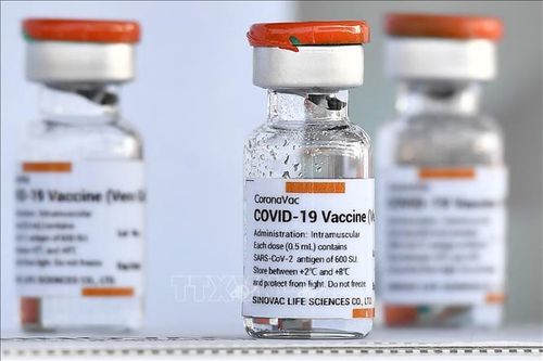 Hong Kong (Trung Quốc) triển khai tiêm vaccine ngừa COVID-19 cho trẻ từ 3 tuổi