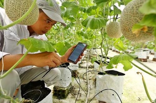 Doanh nghiệp khó tiếp cận quy định của thị trường về vệ sinh dịch tễ và kiểm dịch, đặc biệt từ những thị trường lớn nhiều biến động: Bộ Nông nghiệp đi tìm giải pháp