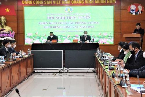 Việt Nam chuẩn bị công bố vaccine dịch tả lợn châu Phi: Mối lo hơn 100 năm qua của ngành chăn nuôi sẽ được giải tỏa