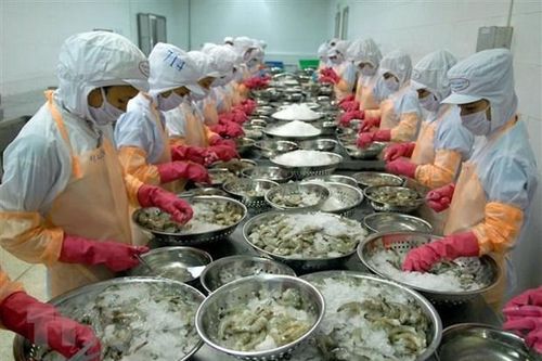 Giá nhiều loại thủy sản ở Trà Vinh tăng cao, người dân phấn khởi