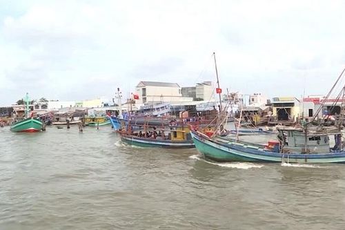 Cà Mau: Nhộn nhịp những chuyến tàu đánh bắt cập bến sau Tết