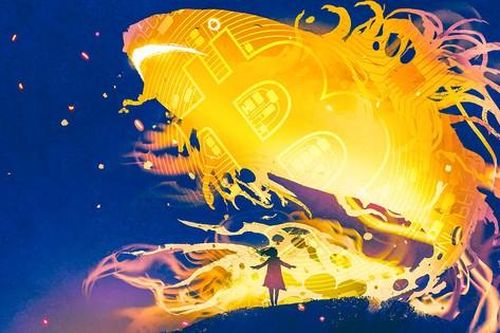 Một cá voi vừa di chuyển 11.000 Bitcoin