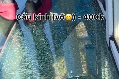 Dân mạng té ngửa khi thấy cầu kính cao nhất Việt Nam bị vỡ trong clip 'Ai bảo đi Sa Pa hết 2 triệu'