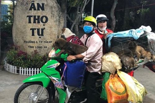 Chủ nhân đàn chó bị tiêu hủy: 'Cuộc hội ngộ đầy xúc cảm với chú chó cuối cùng còn sống'
