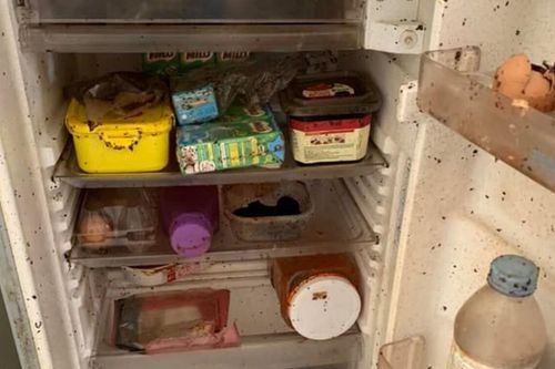 Trở lại ký túc xá sau thời gian dài, sinh viên khóc thét khi chứng kiến cảnh tượng ám ảnh trong tủ lạnh