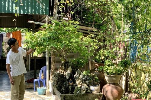 Làm giàu từ thú chơi sinh vật cảnh