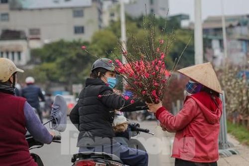 Người dân Hà Thành xuống phố sắm cành đào cúng rằm tháng Giêng