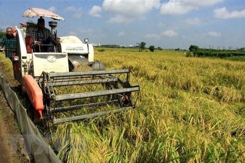 Việt Nam chia sẻ tại LHQ kinh nghiệm xóa đói nghèo và vượt khủng hoảng