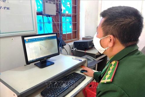 Cứu nạn kịp thời 11 ngư dân khi tàu bị chìm trên biển
