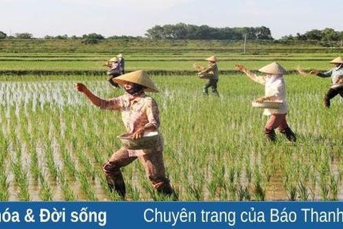 Trên những cánh đồng mùa xuân
